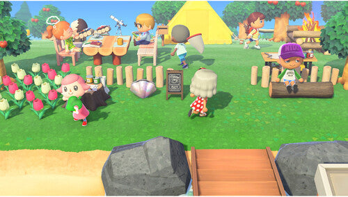 Animal Crossing: New Horizons - New - Nintendo Switch 2
